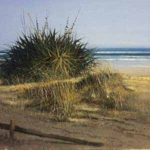 SPIAGGIA LIBERA - AGOSTINO CANCOGNI